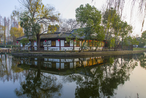 新时代社会组织网