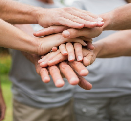 新时代社会组织网