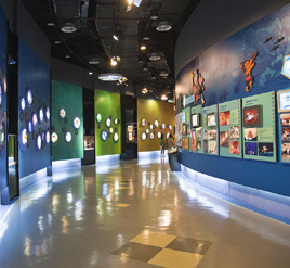 新时代社会组织网