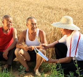 新时代社会组织网