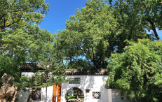 新时代社会组织网